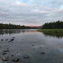 fiskargrabben